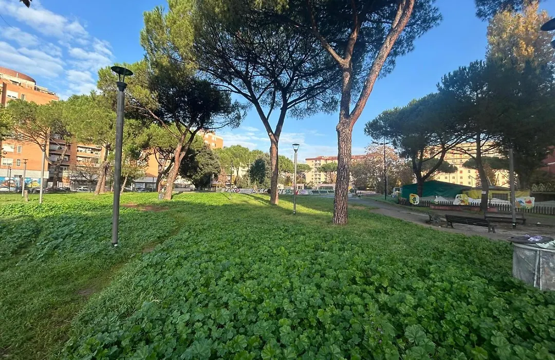 Feel Home San Paolo-1